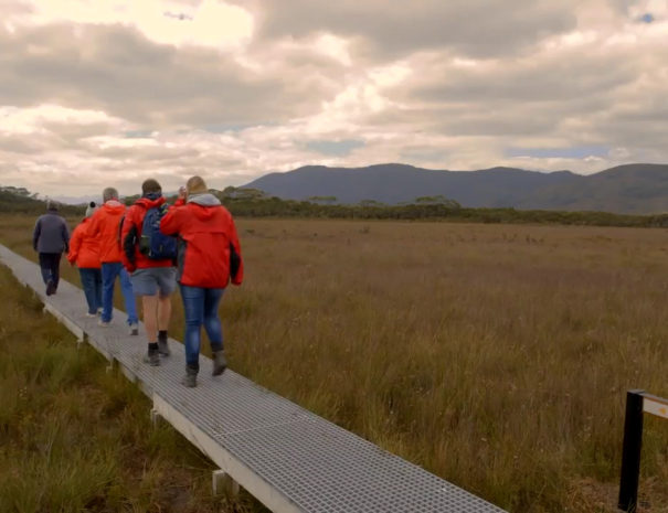 Par Avion southwest tasmania walking 08 - 1080x720